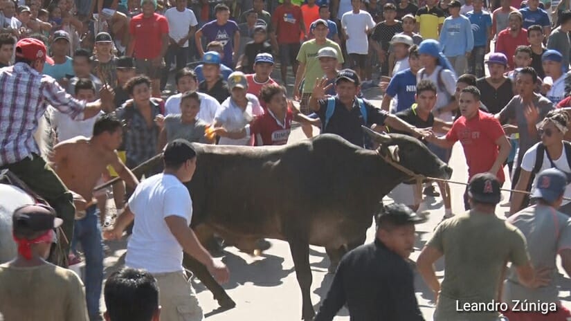 TOROS1